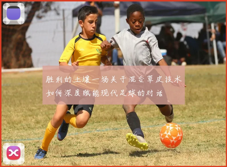 胜利的土壤一场关于混合草皮技术如何深度赋能现代足球的对话